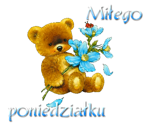 Miłego poniedziałku miś z kwiatuszkiem - Życzenia na GifyAgusi.pl