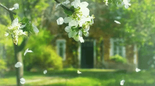 Bildergebnis für wiosna gify