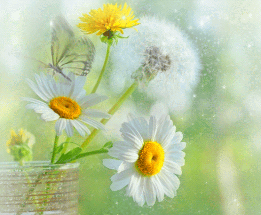 stokrotki%20i%20motyl%20w%20p%C5%82atkac