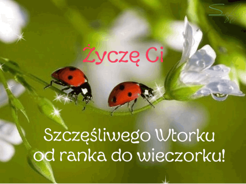 Obrazek dodany przez użytkowniczkę
