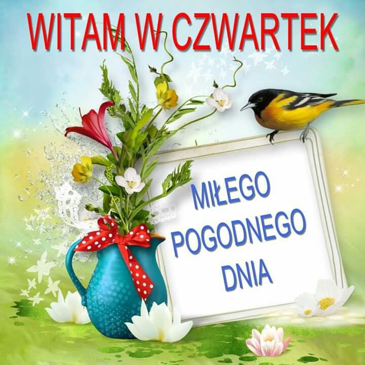 Obrazek dodany przez użytkowniczkę