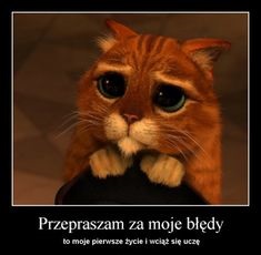 Kot w butach przepraszam za moje błędy - Gify i obrazki na GifyAgusi.pl
