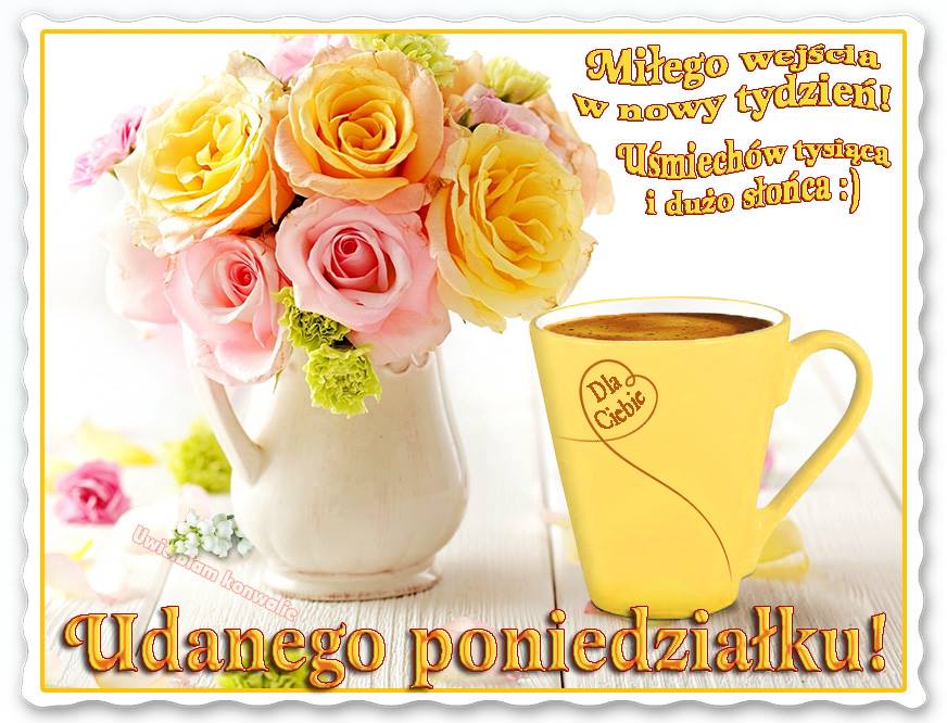 Obrazek dodany przez użytkowniczkę