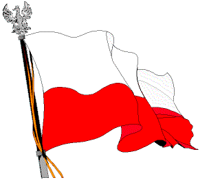 Duża flaga Polski - Gify i obrazki na GifyAgusi.pl